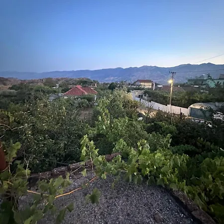 Aldi's House Villa *