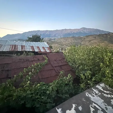 Aldi's House