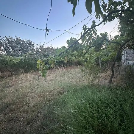 Aldi's House Вилла