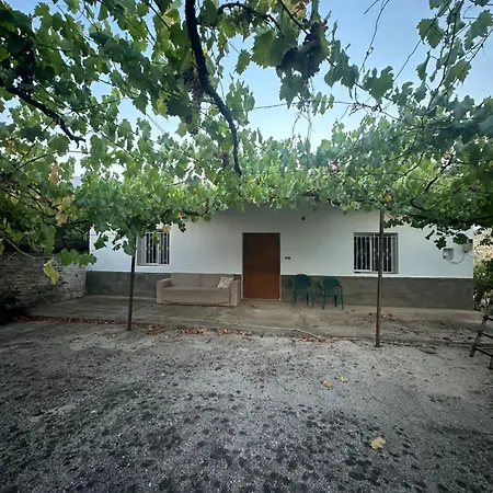Vila Aldi's House
